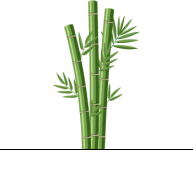 Representative Office